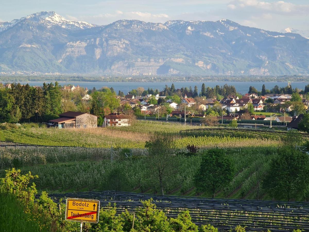 Alpenblick 1 Appartement Bodolz Buitenkant foto